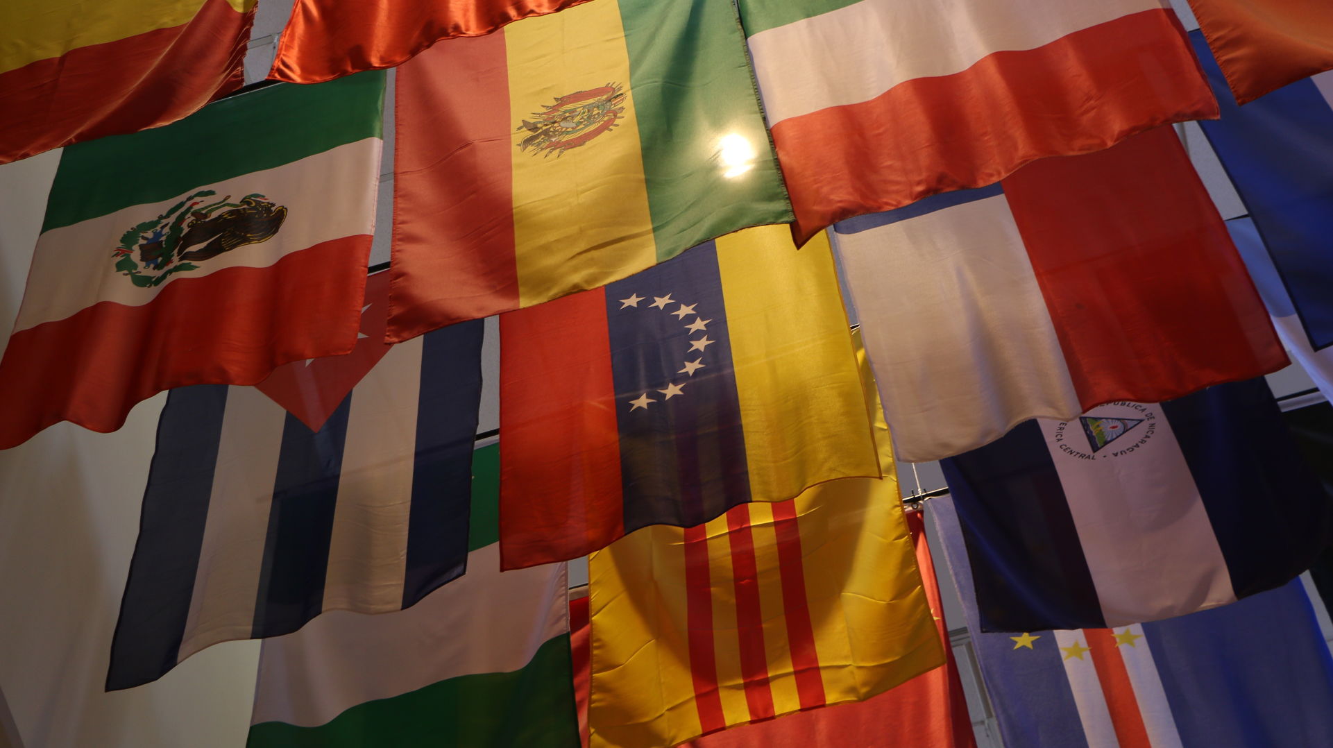 Venezuela flag